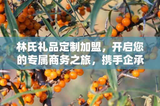 林氏礼品定制加盟，开启您的专属商务之旅，携手企承礼品供应链共创辉煌