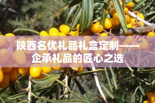 陕西名优礼品礼盒定制——企承礼品的匠心之选