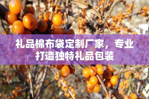 礼品棉布袋定制厂家，专业打造独特礼品包装