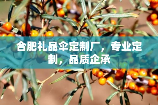 合肥礼品伞定制厂，专业定制，品质企承