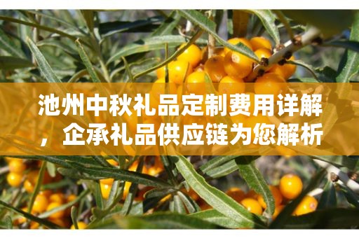 池州中秋礼品定制费用详解，企承礼品供应链为您解析