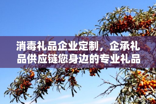 消毒礼品企业定制，企承礼品供应链您身边的专业礼品定制公司