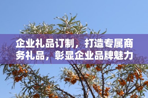 企业礼品订制，打造专属商务礼品，彰显企业品牌魅力