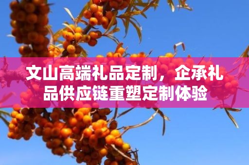 文山高端礼品定制，企承礼品供应链重塑定制体验