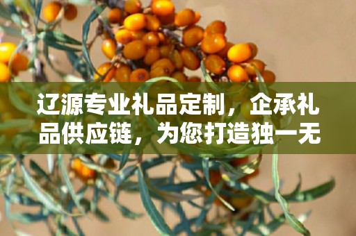 辽源专业礼品定制，企承礼品供应链，为您打造独一无二的礼品