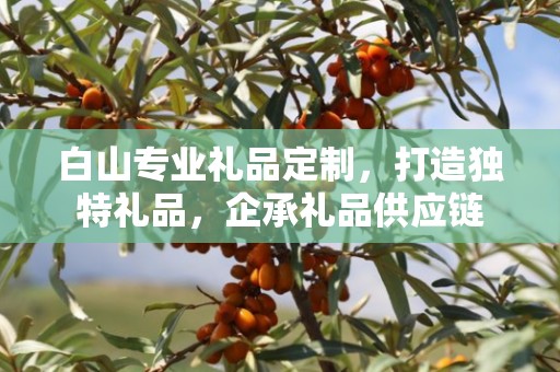 白山专业礼品定制，打造独特礼品，企承礼品供应链