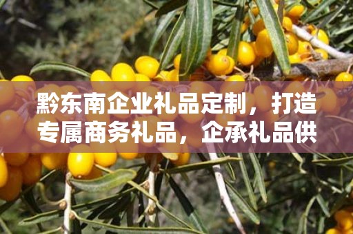 黔东南企业礼品定制，打造专属商务礼品，企承礼品供应链为您助力