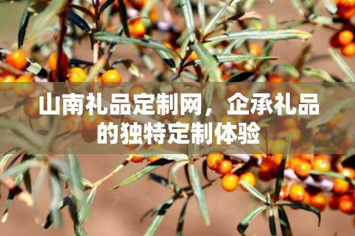 山南礼品定制网，企承礼品的独特定制体验