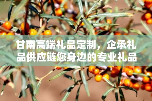 甘南高端礼品定制，企承礼品供应链您身边的专业礼品定制公司