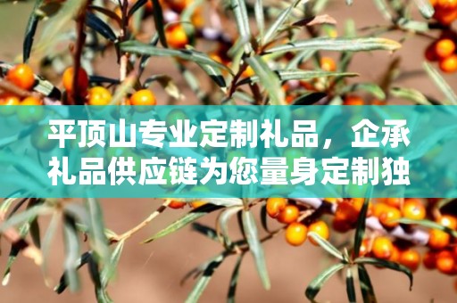 平顶山专业定制礼品，企承礼品供应链为您量身定制独特礼品