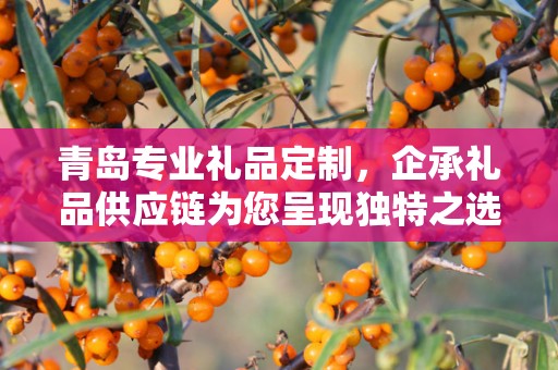青岛专业礼品定制，企承礼品供应链为您呈现独特之选