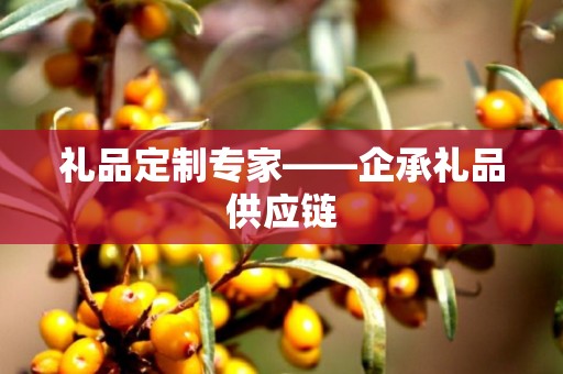 礼品定制专家——企承礼品供应链