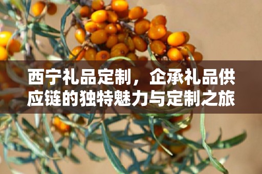 西宁礼品定制，企承礼品供应链的独特魅力与定制之旅