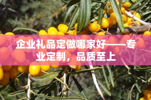 企业礼品定做哪家好——专业定制，品质至上